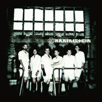 Haifisch - Rammstein