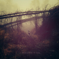 Outside - Paradise Walk