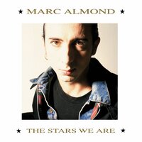 Kept Boy - Marc Almond