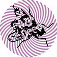 Only You - Pete Oak