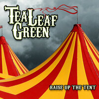 Standing Still - Tea Leaf Green