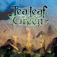 Been so Long - Tea Leaf Green