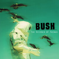 Prizefighter - Bush