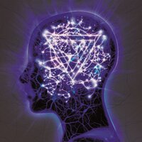 Torn Apart - Enter Shikari