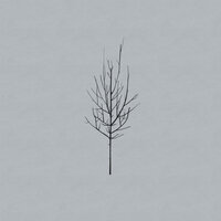 No End - Low