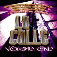 Caliente - Dalmata