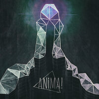 Crave - Anima!
