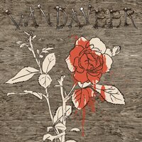 Pretty Polly - Vandaveer