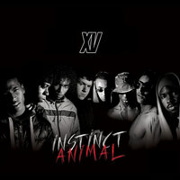 Blunt - XV