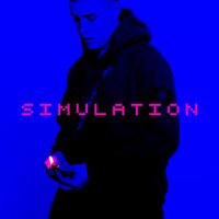 Simulation - Cotis