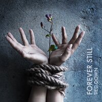 Your Light - Forever Still