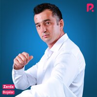 Zerda - Bojalar