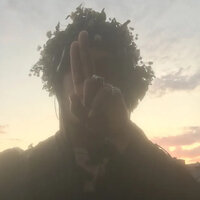 Pollen - Ecco2k