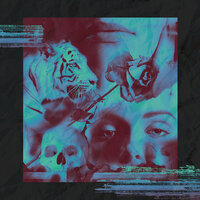 White Tiger - Sunsleep
