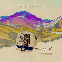 Nicotine Bunker - Freyr