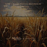 Self-Destructive Behavior - Avalanche Effect