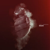 Parasight Lost - The Amenta