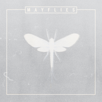 L.A. - The Bergamot