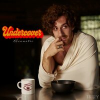 Undercover - troy