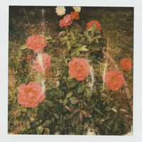 i need to be alone. - girl in red