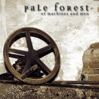 Mentally Deranged - Pale Forest