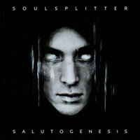 The Maze - Soulsplitter