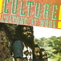 Fight For Yu Right - Culture