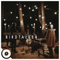 Graveclothes (OurVinyl Sessions) - Birdtalker, OurVinyl