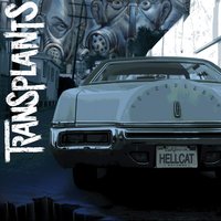 Sad But True - Transplants
