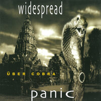 Nobody's Loss - Widespread Panic