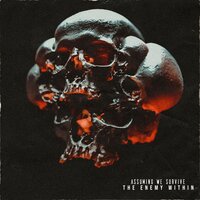 Prisoner - Assuming We Survive