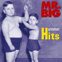 Superfantastic - Mr. Big