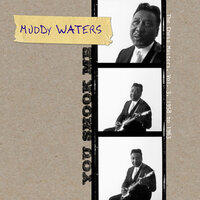 Baby, I Done Got Wise - Muddy Waters