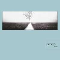 Temporary Wings - Geneva