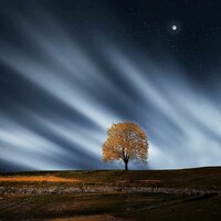 Lullaby - Guided Meditation, Internal Yoga, Life Sounds Nature