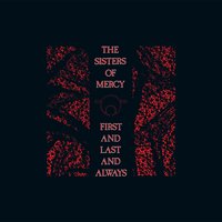 Train - The Sisters of Mercy