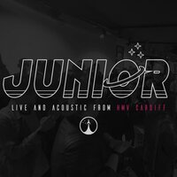 Fall to Pieces - Junior