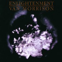 Avalon Of The Heart - Van Morrison