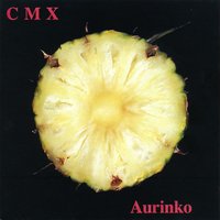 Todellisuuksien Yleiset Luokat - Cmx
