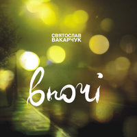 Чайка - Святослав Вакарчук