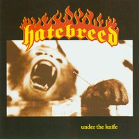 Under The Knife - Hatebreed