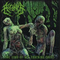 Shanty Towns Hooker - Acranius