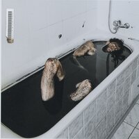 Формула - НЕДРЫ