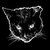 Crippled Black Phoenix