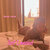 Dear Love